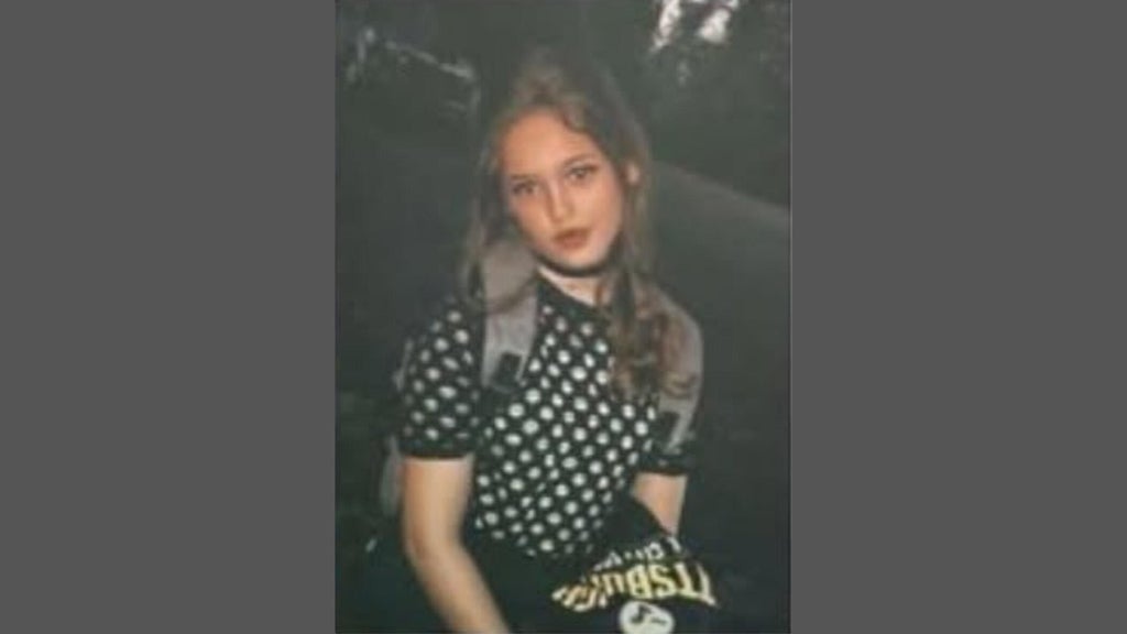 FBI joins search for Georgia 16-year-old girl who has been missing for over a week — Roswell Community news